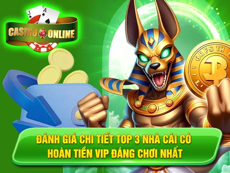 Đánh Giá Chi Tiết Top 3 Nhà Cái Có Hoàn Tiền VIP Đáng Chơi Nhất
