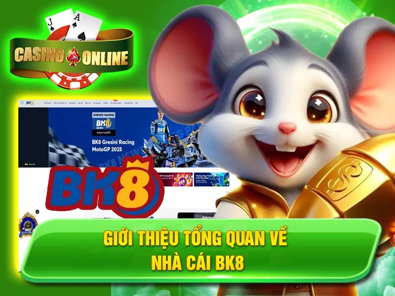 Giới Thiệu Tổng Quan Về Nhà Cái BK8