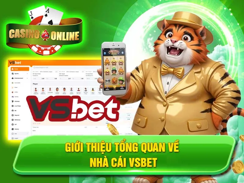 Giới Thiệu Tổng Quan Về Nhà Cái Vsbet