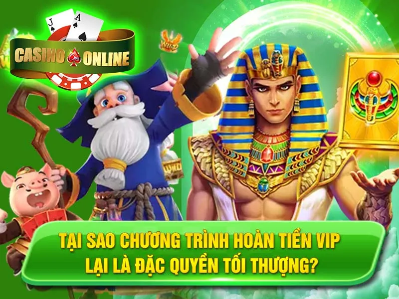Tại Sao Chương Trình Hoàn Tiền VIP Lại Là Đặc Quyền Tối Thượng?